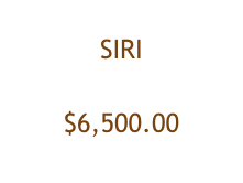 
SIRI

$6,500.00